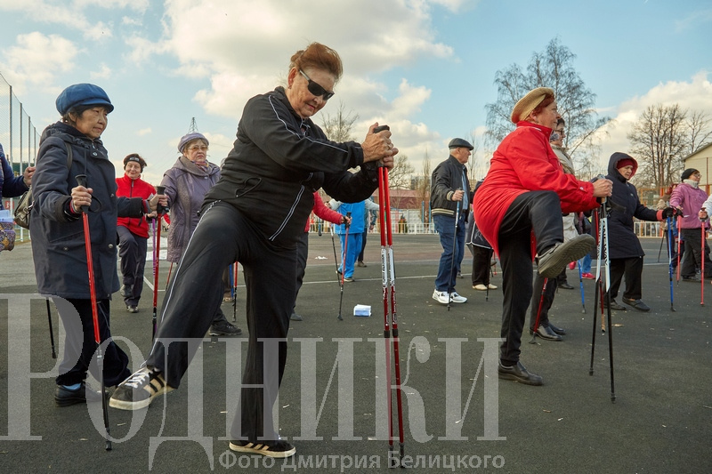 В Мытищах возобновили занятия на свежем воздухе в рамках проекта «Активное долголетие»