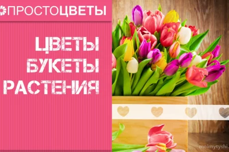 Магазин Простоцветы в Шараповском проезде фото 1