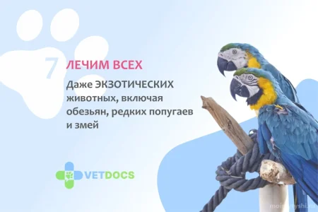 Ветеринарная клиника Vetdocs в Шараповском проезде фото 6
