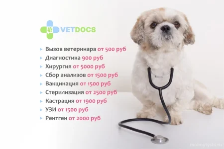 Ветеринарная клиника Vetdocs в Шараповском проезде фото 4
