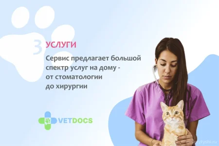 Ветеринарная клиника Vetdocs в Шараповском проезде фото 10