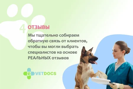 Ветеринарная клиника Vetdocs в Шараповском проезде фото 12