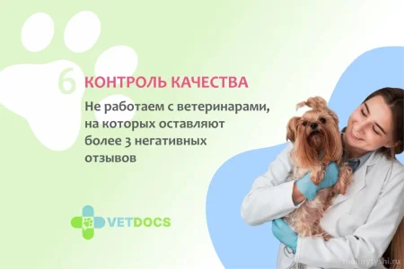 Ветеринарная клиника Vetdocs в Шараповском проезде фото 5